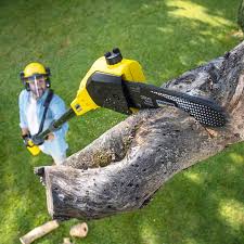 Best Landscape Design and Installation  in Kokomo, IN